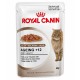 Royal Canin Ageing +12 w Galarecie 85g