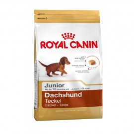 Royal Canin Dachshund Junior 1,5kg