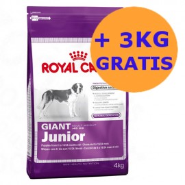 Royal canin maxi clearance junior 15kg 3kg free