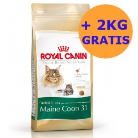 Royal Canin Maine Coon 10kg + 2KG GRATIS