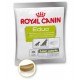 Royal Canin Educ 85g